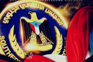 توجيه بضخ موارد المحافظات الجنوبية بحساب الإدارة الذاتية 