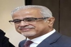  اكاديمي جنوبي مهاجما الشرعية: لم يعد أمامها إلا البحث عن دول تستقبلهم كلاجئين
