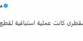 مسهور: ماحدث في سقطرى كان لقطع يد اردوغان والاخوان