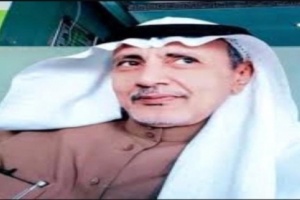 الجعيدي: الشرعية وادواتها تسعى لإطالة الحرب.