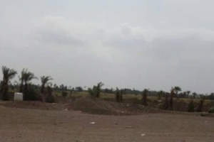 مليشيا الحوثي تشن هجوما على المواطنين جنوب الحديدة. 