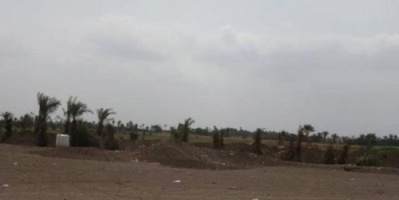 مليشيا الحوثي تشن هجوما على المواطنين جنوب الحديدة. 