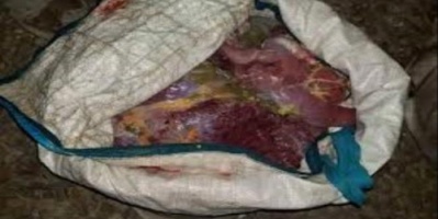 ضبط أثنين متهمين بذبح سلاحف في ساحل حضرموت 