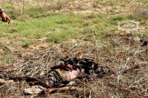 مصدر عسكري بمحور الضالع: مصرع خمسة من عناصر مليشيا الحُوثي بينهم قيادي بارز أثناء محاولتهم زرع عُبُوَّات ناسفة غرب قعطبة