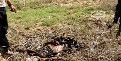 مصدر عسكري بمحور الضالع: مصرع خمسة من عناصر مليشيا الحُوثي بينهم قيادي بارز أثناء محاولتهم زرع عُبُوَّات ناسفة غرب قعطبة