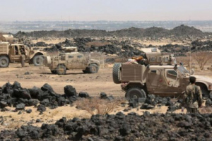 بعد تلقيها ضربات موجعه..  مليشيا الاخوان تتراجع بشقرة