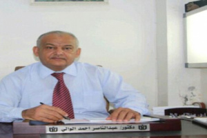 الوالي : قرار سياسي يمنع باخرتين مخصصتين لكهرباء عدن من تفريغ حمولتها !!