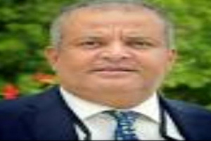  شطارة: كهرباء عدن لن تتحسن الا بعد استقرار وحل سياسي دائم لمستقبل الجنوب