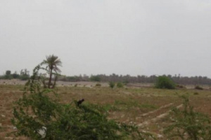 ميليشيا الحوثي تستهدف سكان الجبلية