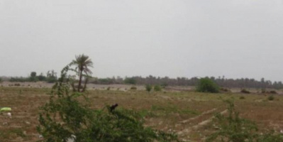ميليشيا الحوثي تستهدف سكان الجبلية