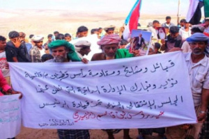 قبائل رأس قطينان تشيد بالإمارات وتؤيد الإدارة الذاتية