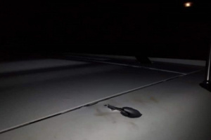 تعرض نجل الصحفي الراحل عادل الاعسم لمحاولة اغتيال