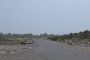 مليشيا الحوثي تقصف القرى والمزارع جنوبي الحديدة