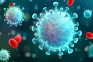 حضرموت.. إصابات كورونا في الوادي تصل إلى 91 حالة