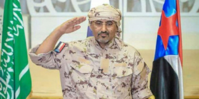 الرئيس عيدروس الزبيدي يطمئن على صحة الصحفي المخضرم نجيب يابلي