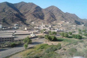 دمج المغرر بهم بالقوات الجنوبية 