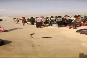  مصدر محلي يكشف حقيقة ترحيل شماليين من سقطرى 