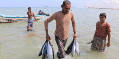 نجاة صيادين اثنين وفقدان ثلاثة آخرين في جزيرة عبد الكوري