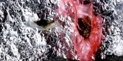 ضبط شخص في حضرموت وبحوزته كمية الحشيش