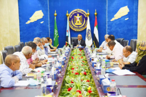 اللجنة الاقتصادية العليا للمجلس الانتقالي تقر لائحتها التنظيمية 