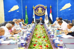 الاقتصادية العُليا بالمجلس الانتقالي الجنوبي تقرّ لائحتها التنظيمية