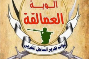 القوات المشتركة تحبط محاولة تسلل انتحارية للحوثيين في حيس