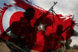 محلل سعودي : تركيا فشلت في تأسيس كيانات جنوبية منافسة للانتقالي