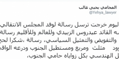 غالب عن لحج : درع الجنوب الواقي 