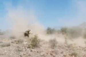 مقتل القيادي الحوثي محمد الوزير بجبهة باب غلق
