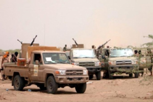 المليشيات الحوثية تتلقى صفعات من الهزائم في الحديدة 