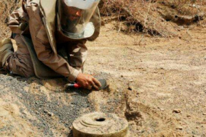 مقتل وإصابة 800 مدني بألغام الحوثيين في تعز