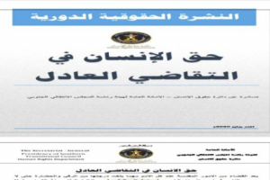 "حقوق الإنسان" بالانتقالي تطالب بتشكيل نظام قضائي مستقل بالجنوب