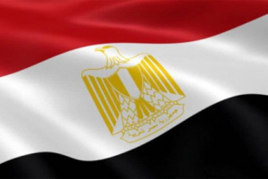 مصر:نثمن جهود السعودية والامارات بطرح آلية تسريع تنفيذ اتفاق الرياض 