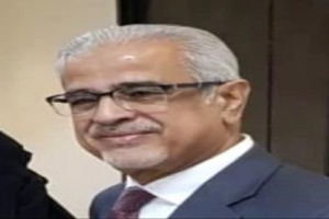 أكاديمي جنوبي يهاجم الميسري.. ماذا قال؟