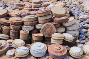 اتلاف 16180 لغم زرعتها ميليشيا الحوثي في مأرب