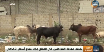  هكذا استقبل اهالي الضالع عيد الاضحى المبارك 