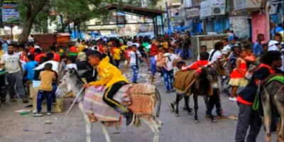 عدن تستقبل عيد الأضحى بتفاؤل ودخول حقبة جديدة!