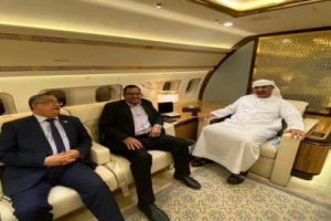 طائرة ملكية تقل الرئيس الزبيدي والوفد المفاوض من الرياض إلى ابوظبي