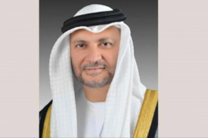 الامارات ترد على التطاولات التركية الاستفزازية 