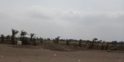  استهداف حوثي للأحياء السكنية في حيس