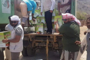 خليفة الإنسانية تضخ مساعداتها شرق سقطرى 