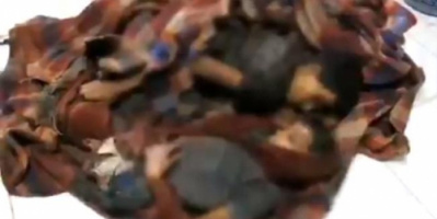  مقتل مواطن وطفليه بانفجار لغم حوثي في الدريهمي (فيديو)