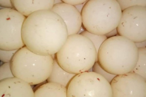 القبض على 7 مخالفين لمنع اصطياد السلاحف في يثمون