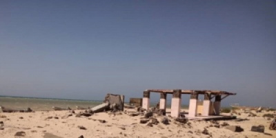 فاو: الإنزال السمكي في تعز يُحسن دخل الصيادين المحليين