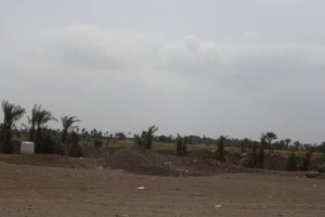 تصعيد لمليشيا الحوثي على السكنية في منطقتي الجبلية والفازة