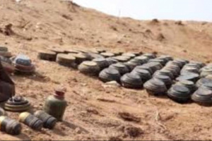 مسام يتلف 740 لغما وذخائر حوثية في الساحل الغربي