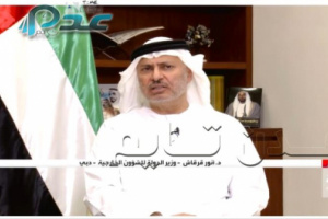 قرقاش يكشف الهدف العربي الذي على ضوءه تحركت الإمارات دبلوماسيا مع اسرائيل
