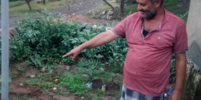 مزرعة الروسي في الحود  