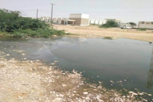 شبوة.. تلوث مياه الشرب بالصرف الصحي في ميفعة