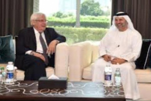 قرقاش و غريفيث يبحثان جهود وقف إطلاق النار باليمن